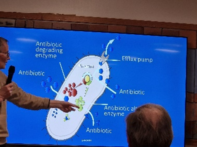 Antibiotika resistens
